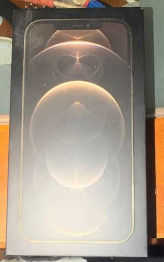 iPhone 12 Pro Max 256 GB Argento