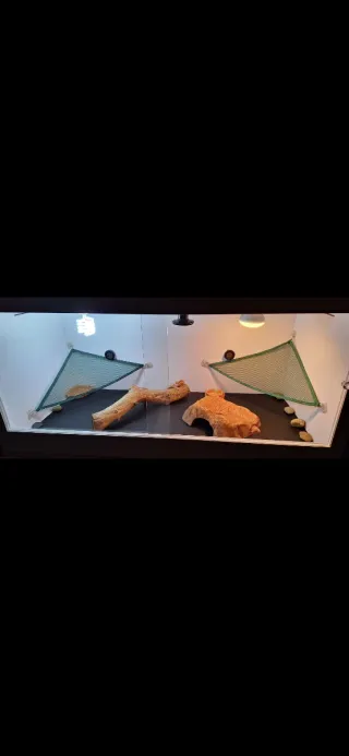 Terrario para reptiles