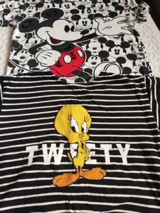 Conjunto 2 Camisetas Zara 11 años