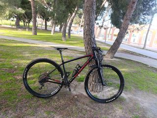 Mtb specialized EPIC carbono 29 pulgadas btt xc xt