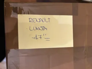 Tapacubos Llanta 17 Renault