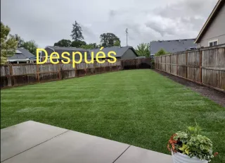 Césped artificial y servicios de jardinería