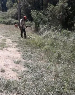 Césped artificial y servicios de jardinería