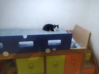 Dormitorio litera infantil con cajones de colores