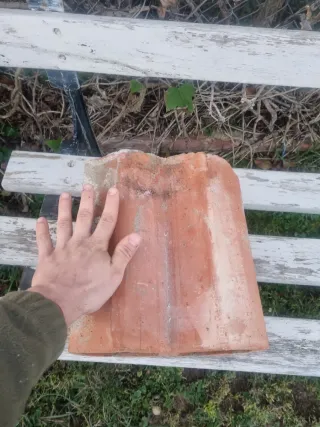 Ladrillos botelleros