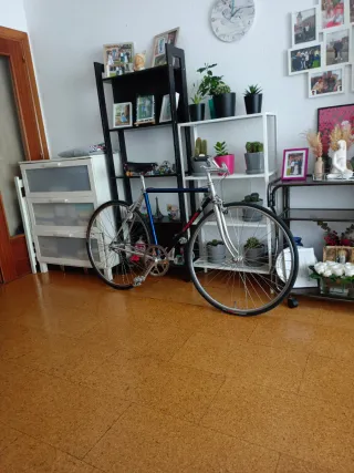 Bicicleta Vitus 979 Campagnolo Single Speed.