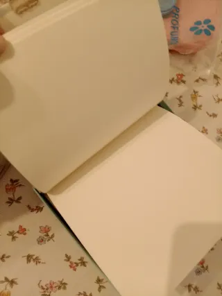 Diario segreto Holly Hobbie vintage