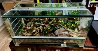 Terrario completo con accesorios