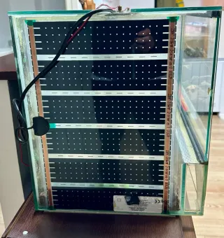 Terrario completo con accesorios