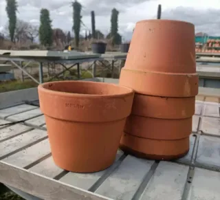 Set 5 Vasi Terracotta Diametro 16cm