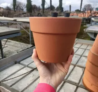 Set 5 Vasi Terracotta Diametro 16cm