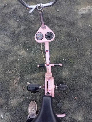 Bicicleta Estática Rosa Cyclostatic