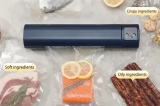 ENVASADORA DE ALIMENTOS FRESCOS Y SECOS AL VACÍO