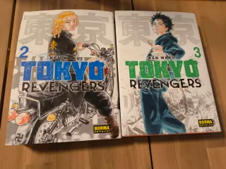 Mangas variados. En perfecto estado.