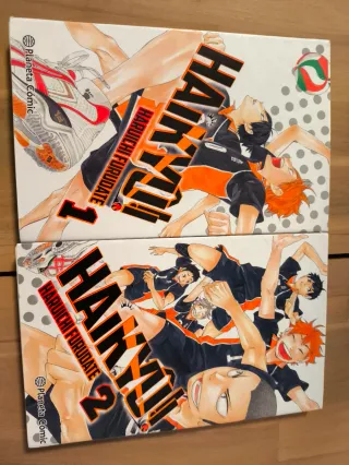 Mangas variados. En perfecto estado.