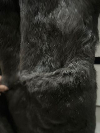 Chaleco pelo Nice Things Talla Única