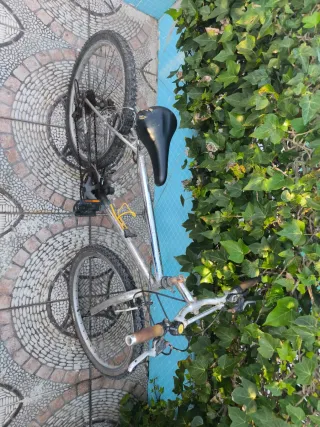 Bicicleta de montaña plateada