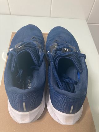 Zapatillas Nike Pegasus 40 Talla 43