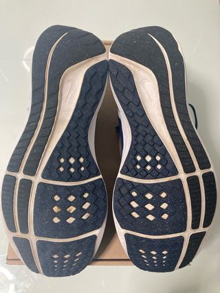 Zapatillas Nike Pegasus 40 Talla 43