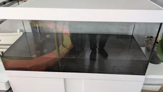 Acuario EHEIM Vivaline LED 200L Completo