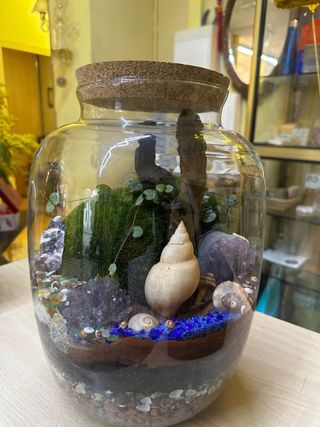 Terrario Jardín Eterno con Amatista