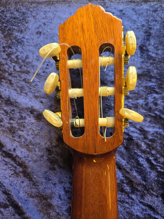 Chitarra classica Iberica amplificata