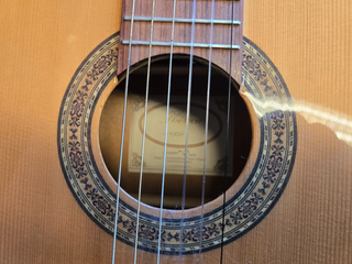 Chitarra classica Iberica amplificata