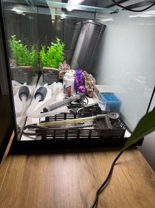 Acuario 6 meses de uso