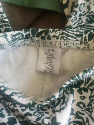 Conjunto infantil zebra verde