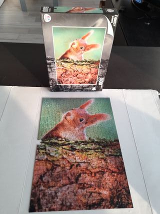 Puzzle "Scoiattolo" Globo 500 pezzi