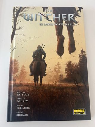 Lote libros cómic manga anime