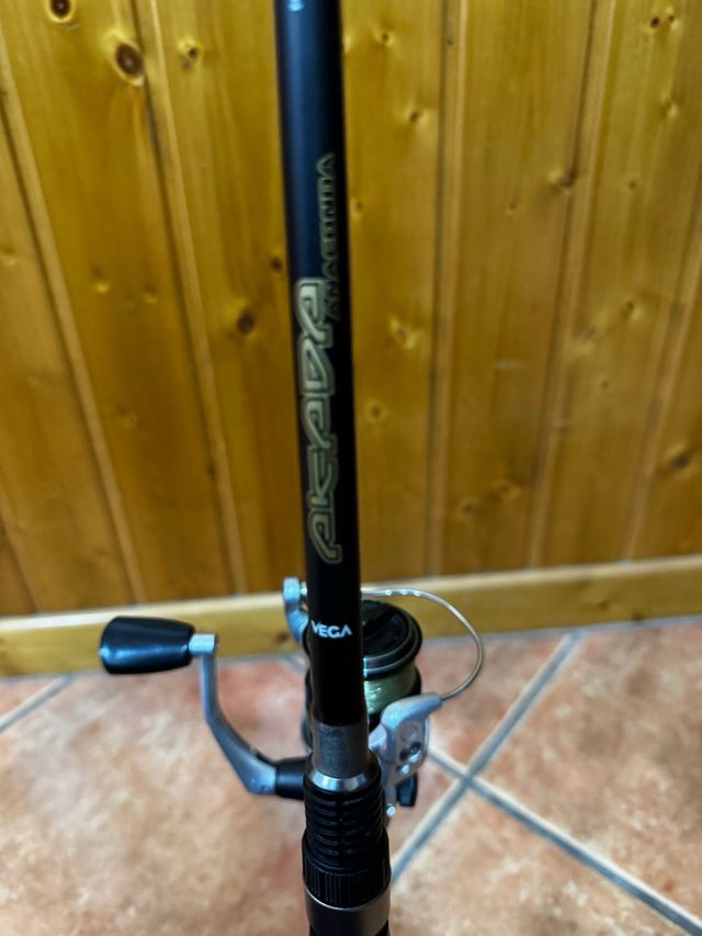Caña de pescar y carrete  Cambio por casting