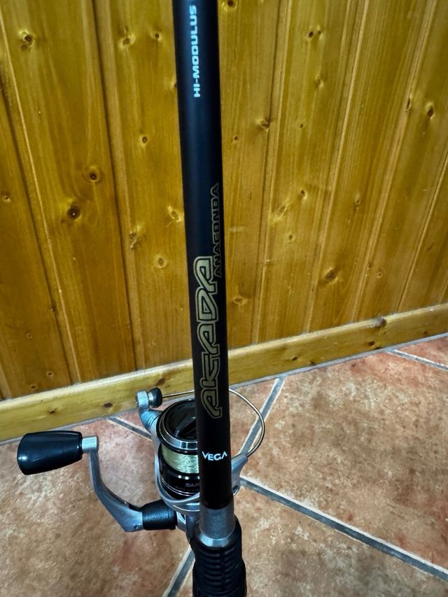 Caña de pescar y carrete  Cambio por casting