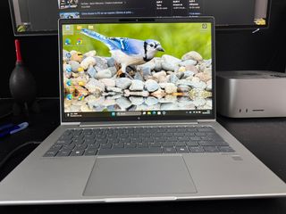 HP EliteBook 645 G11 Notebook PC 14 Gris/Plata