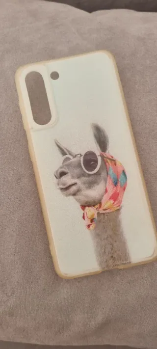 Custodia Samsung Galaxy S21 5G con mappa e alpahaca