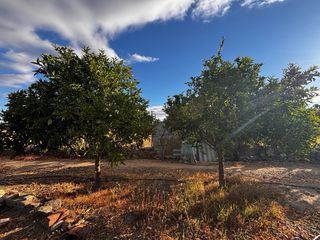 FINCA PRODUCTIVA COMPLETA – TRACTOR DOCUMENTADO