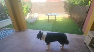 Chalet adosado en Costa Esuri