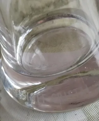 Copa Cerveza Damm Ximena Maier Ritzenhoff