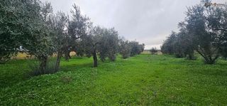 Terreno en venta en Écija