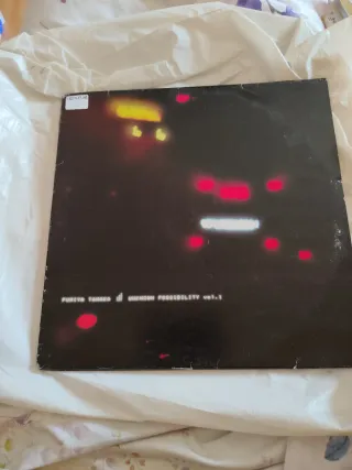 Vinilo James Ruskin Into Submission