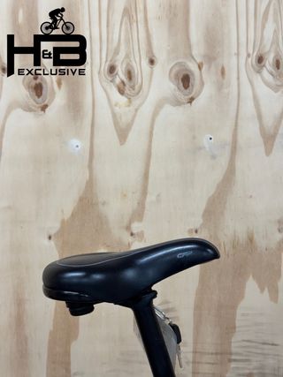 Giant Explore E+3 Shimano Alivio 2022