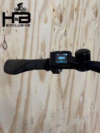 Giant Explore E+3 Shimano Alivio 2022