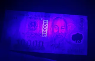 🇻🇳 Billetes Vietnam