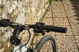 Bicicleta de Montaña Berg Torah 3.5