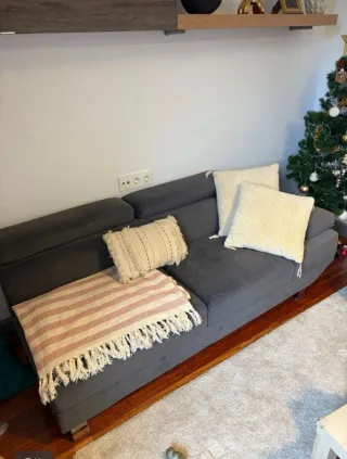 Sofá gris oscuro con 2 cojines