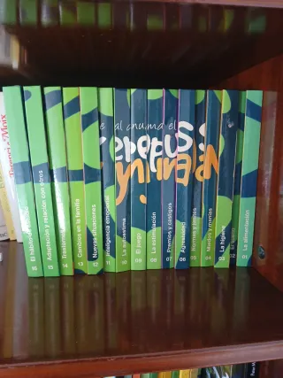 El manual de Super Nany