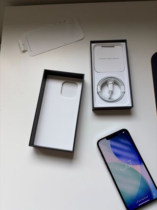 iPhone 13 Pro Blu/Argento