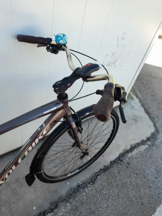 Bicicleta Wolfbike Aluminio 28