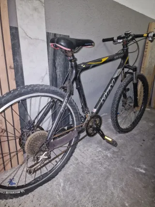 Bicicleta Giant MCM carbono