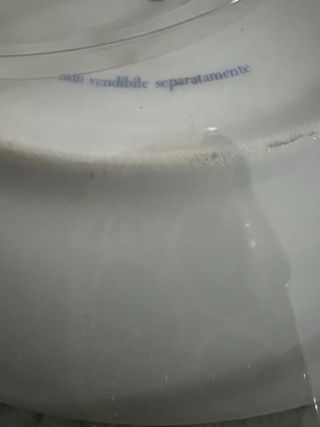 Plato decorativo Van Gogh Los Girasoles